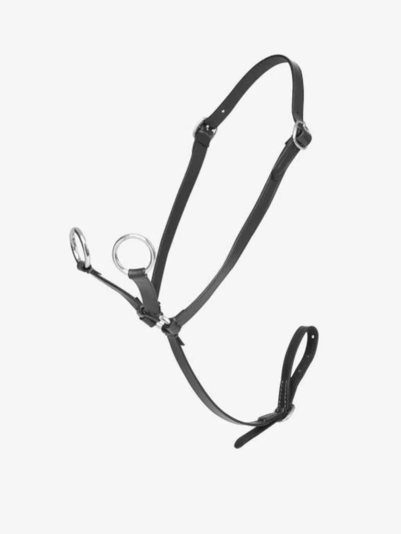 LeMieux Toy Pony Martingale in Black